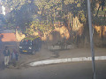 india_005_s.jpg