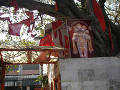 india_011_s.jpg