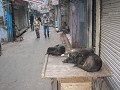 india_017_s.jpg
