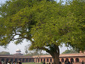 india_054_s.jpg