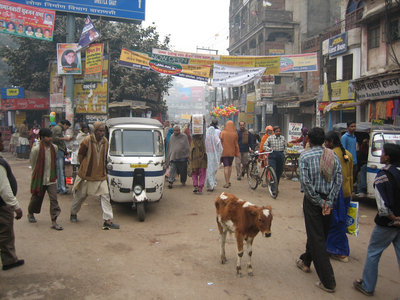 india_102.jpg