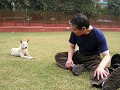 india_107_s.jpg